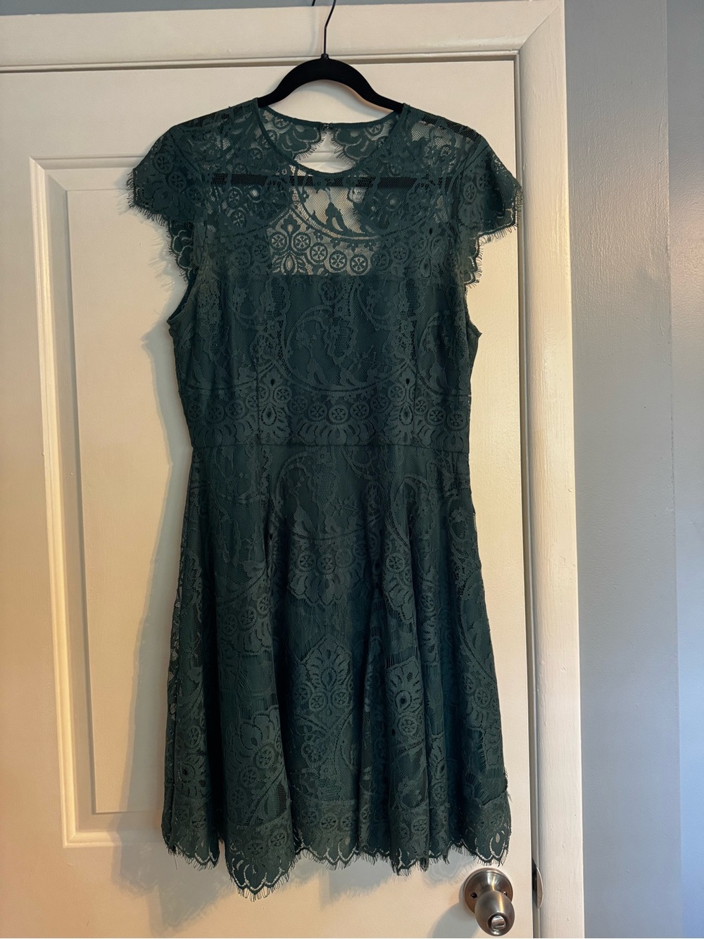 NWT BB Dakota Forest Green Lace Cap Sleeve Dress